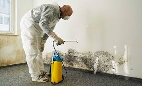 Best Commercial Mold Inspection  in Centreville, MD